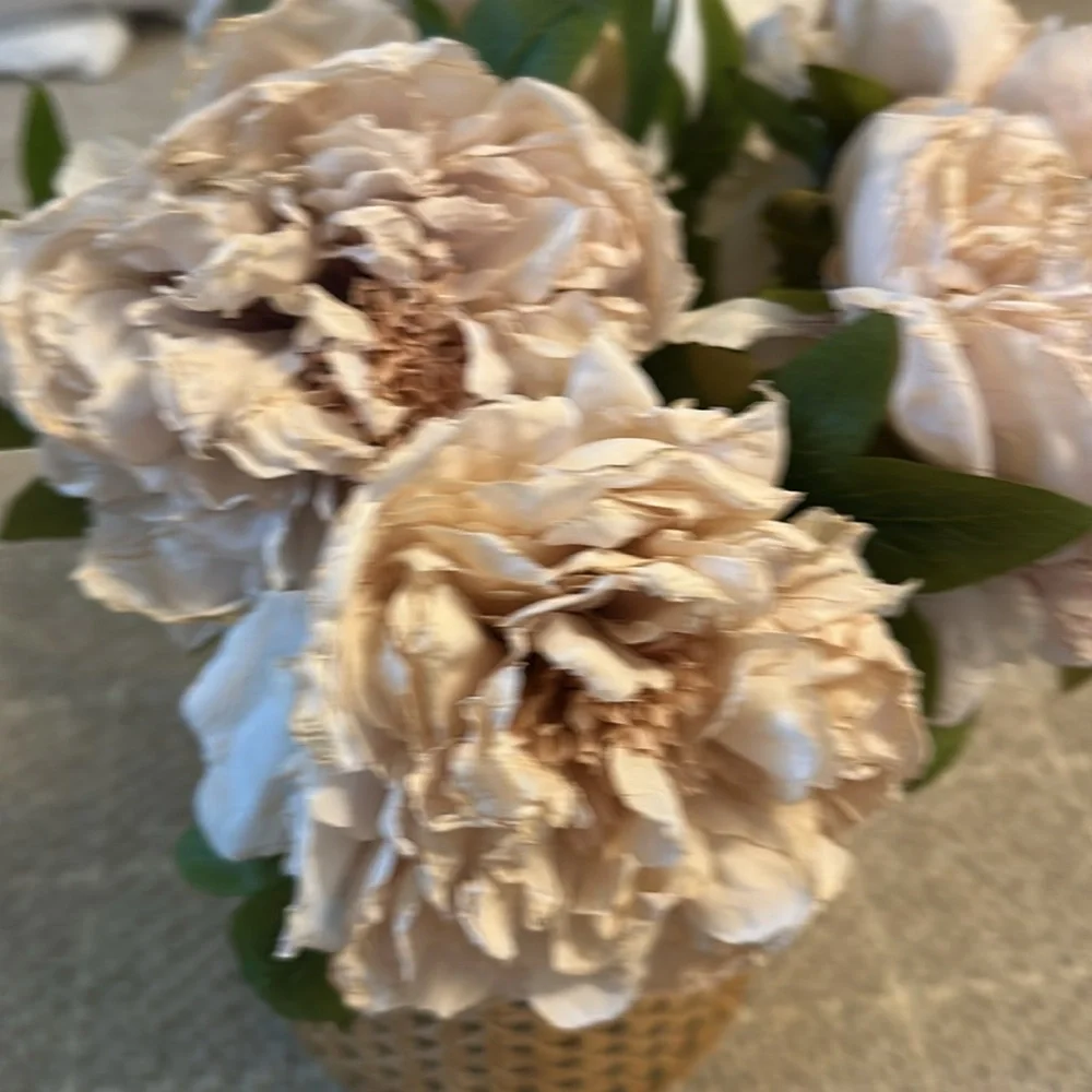 Abigail Ahern Beige Blush Artificial Peony Flower